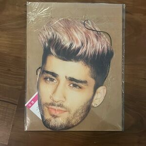Zayn Malik paper Halloween mask or collectable